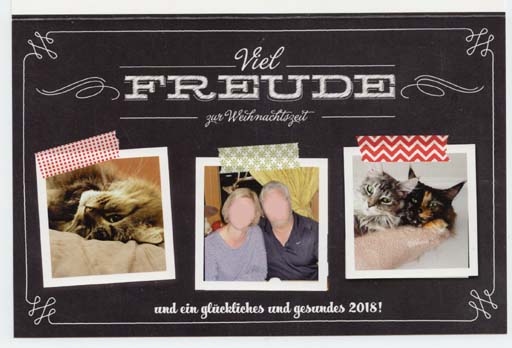 Original-Bild