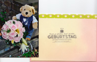 Link-Bild