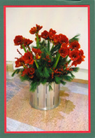 Link-Bild