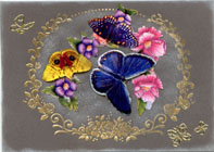 Link-Bild