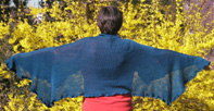 Link-Bild
