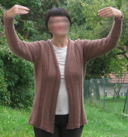 Link-Bild